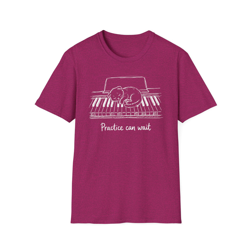 "Cute Kitten-Practice Can Wait" T-Shirt