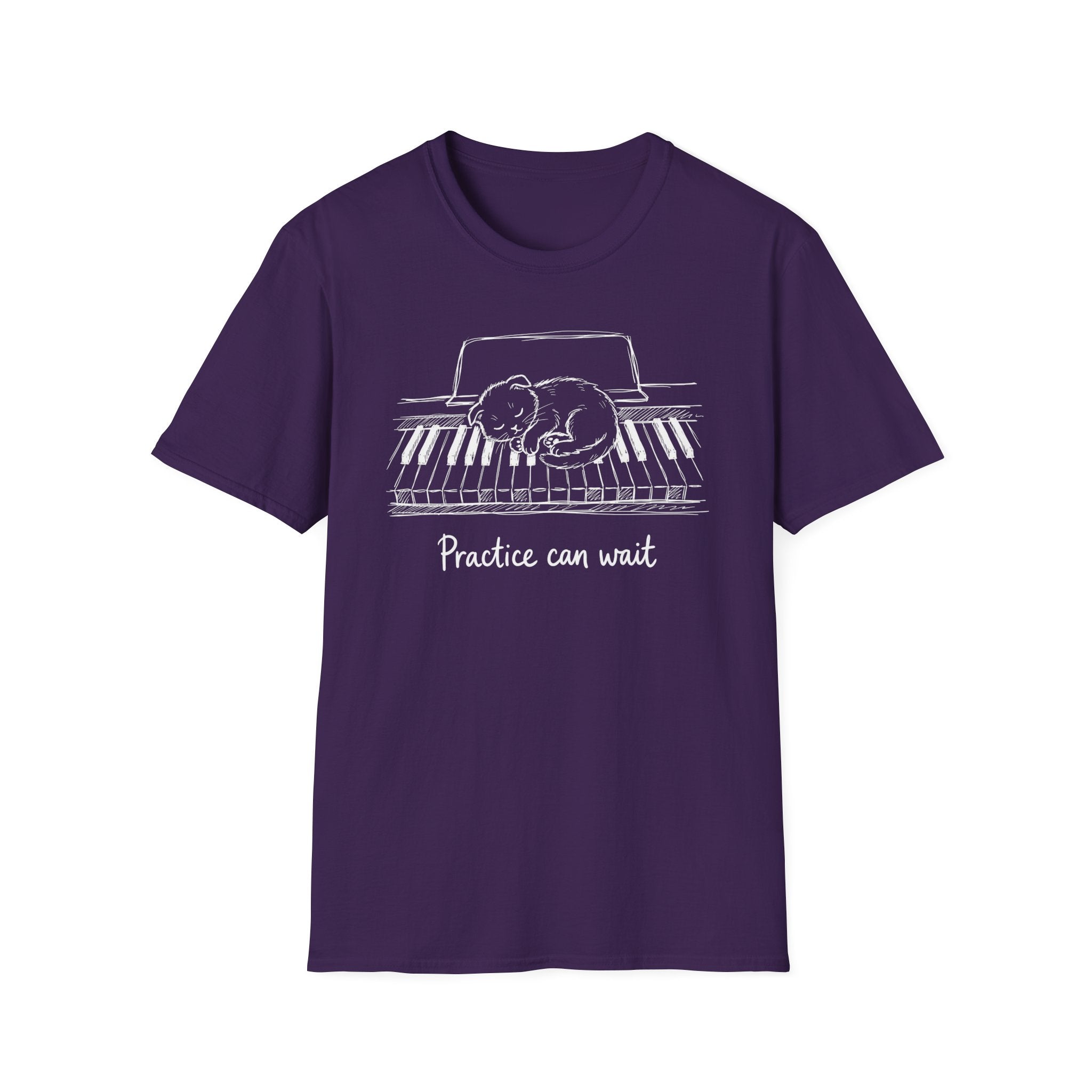 "Cute Kitten-Practice Can Wait" T-Shirt