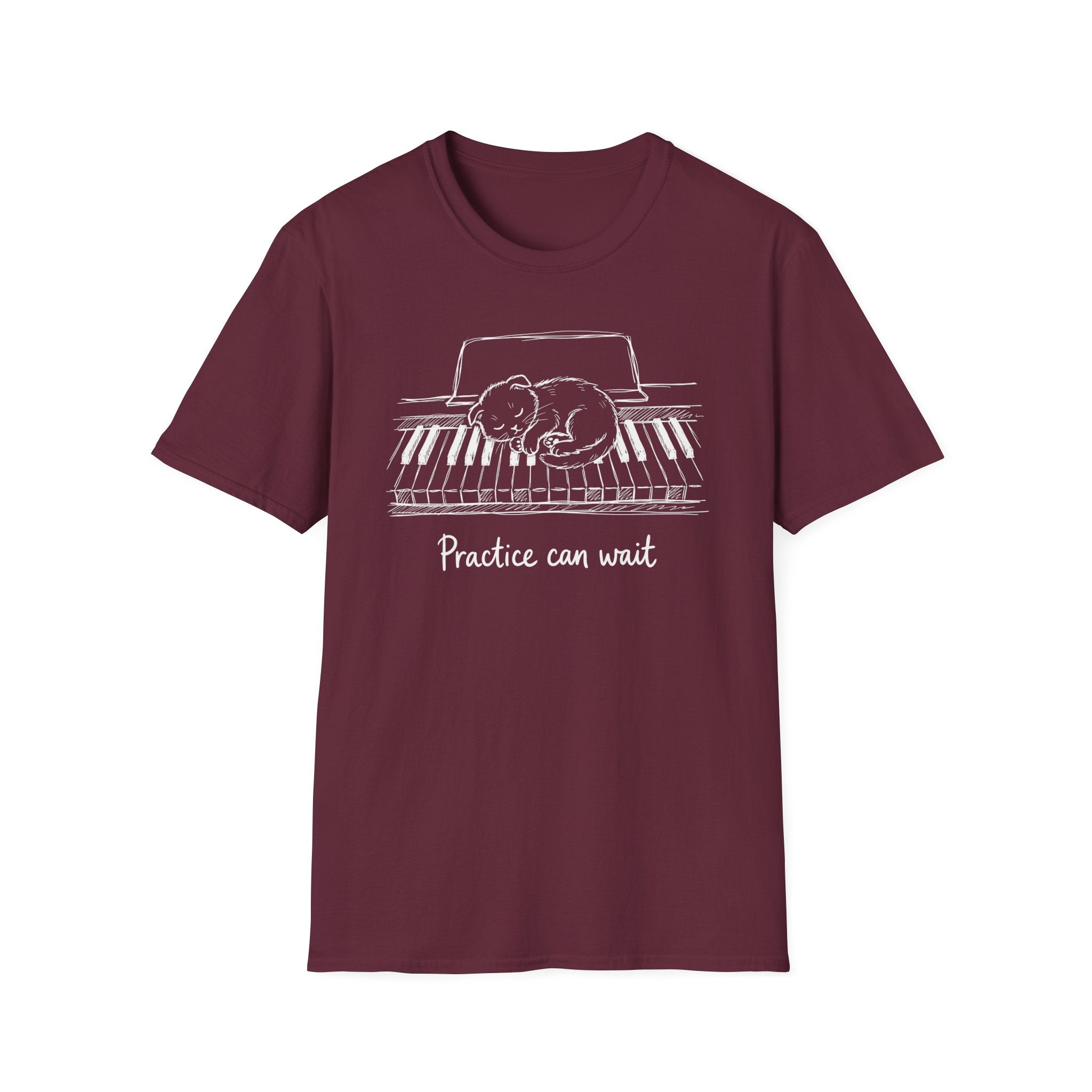 "Cute Kitten-Practice Can Wait" T-Shirt